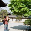 新緑撮り