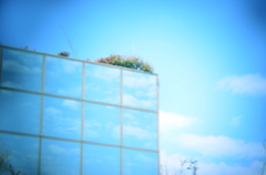 映る空