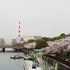 ここで一番好きな景色