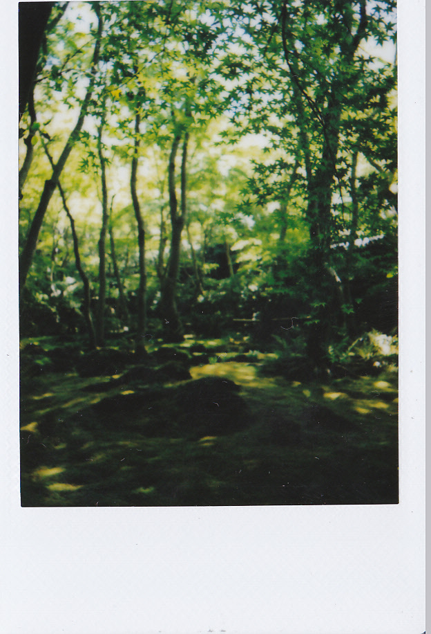 嵐山２