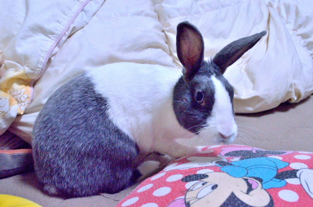 キッ！！