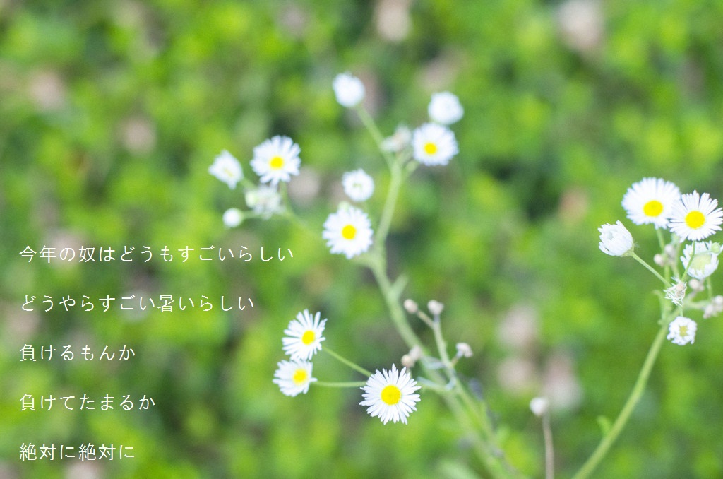 今年の奴はどうもすごいらしい