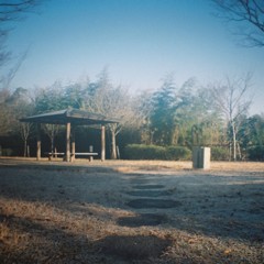 朝の東屋