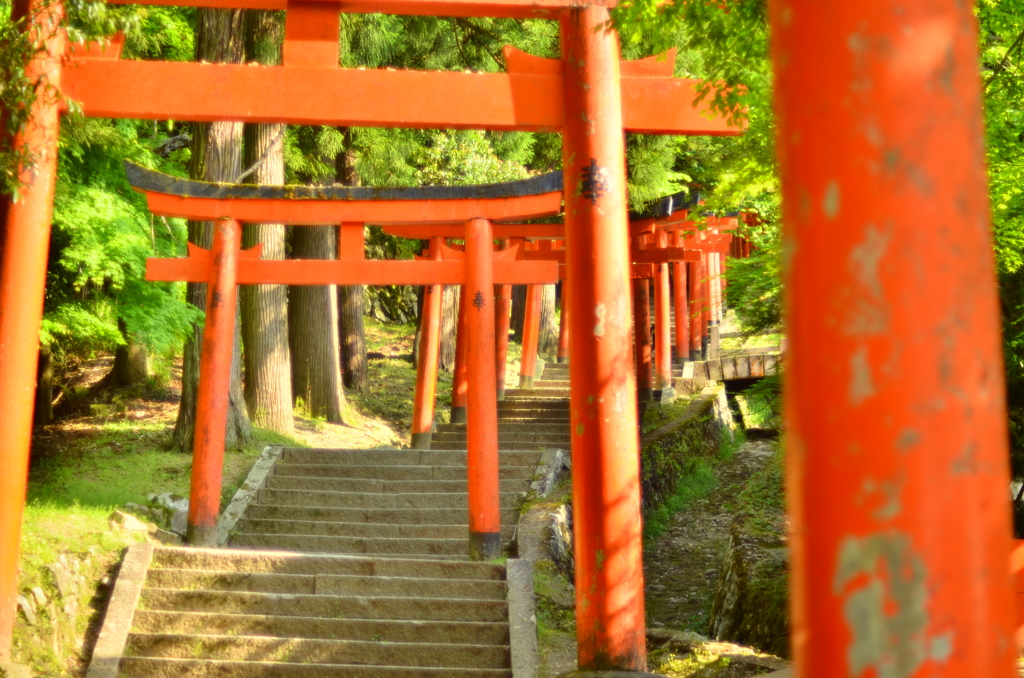 神様へ続く道