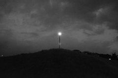 光