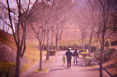 親子三人