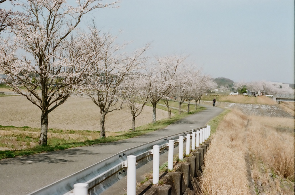 ずっと続くずっと来年も