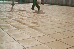 雨上がりのきらめき