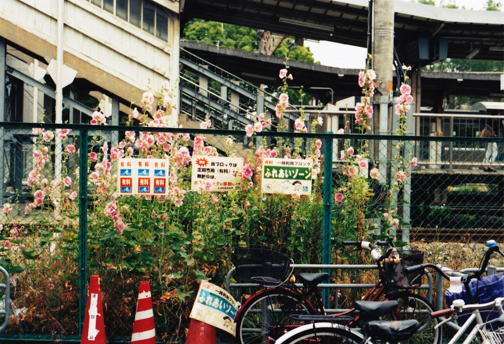 杉本駐輪場