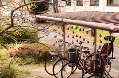 干し柿と自転車