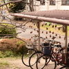 干し柿と自転車