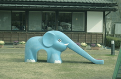 ゾウのはなの滑り台
