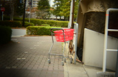 カート