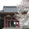 本門寺の鐘と桜