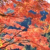 奥多摩の紅葉①