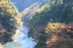 奥多摩の紅葉②