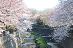祖師谷公園にて