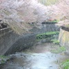 花吹雪~仙川