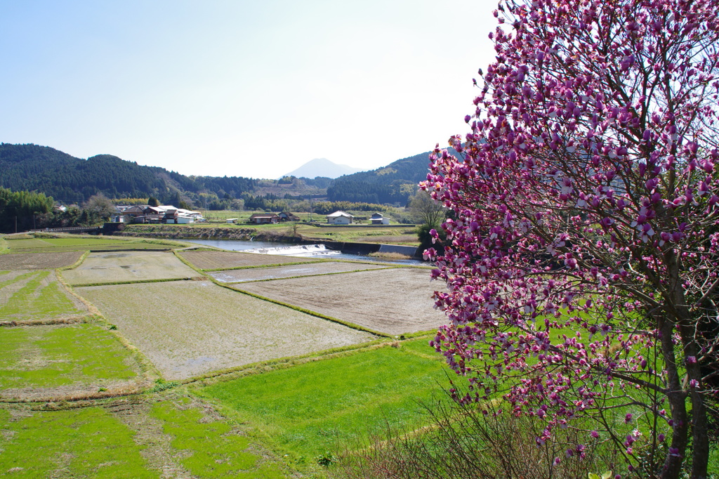 田舎の風景