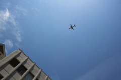 飛行機