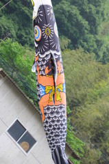 しがみつき