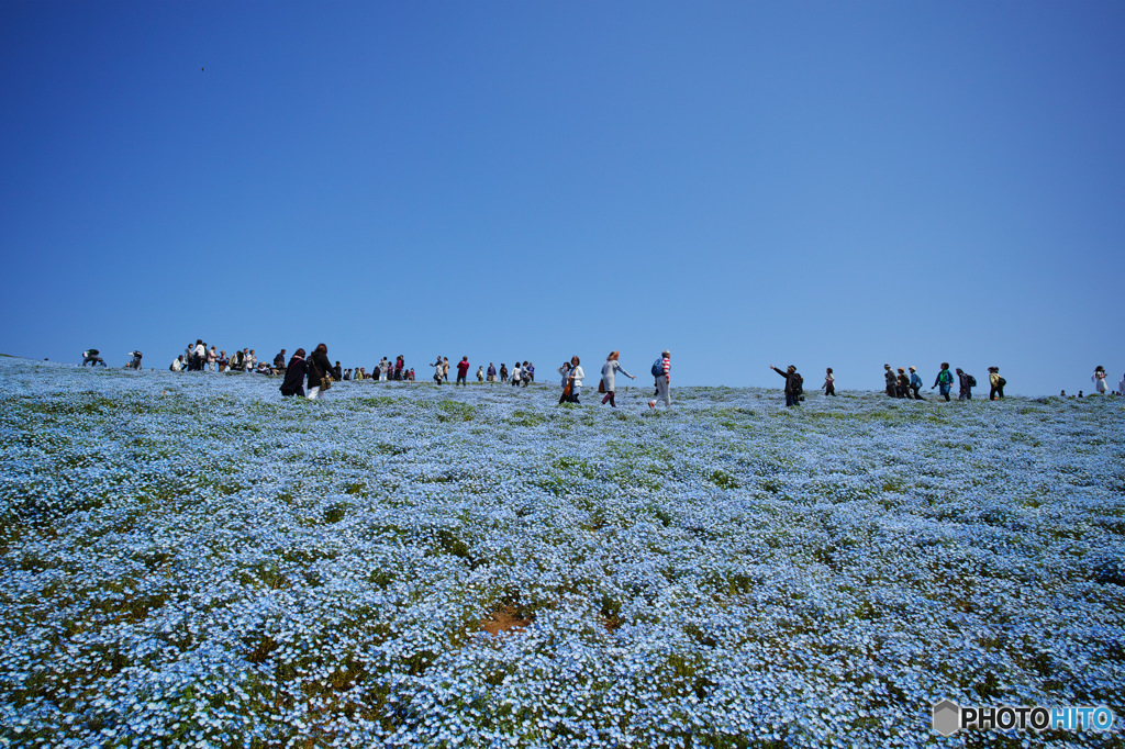 SDIM0662