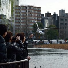 Dsc_0130