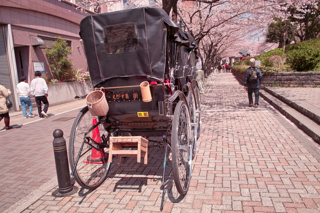 SDIM0255