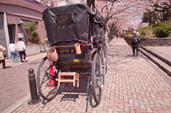 SDIM0255