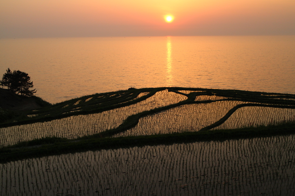 白米千枚田と夕日