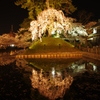 鏡桜
