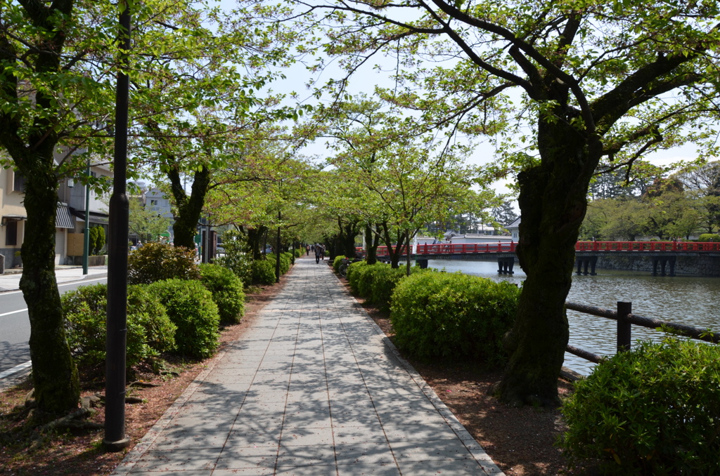 小田原城外堀