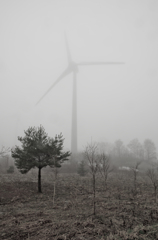 霧の風車