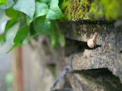 雨上がり