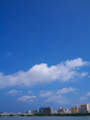 湿地沿いの町