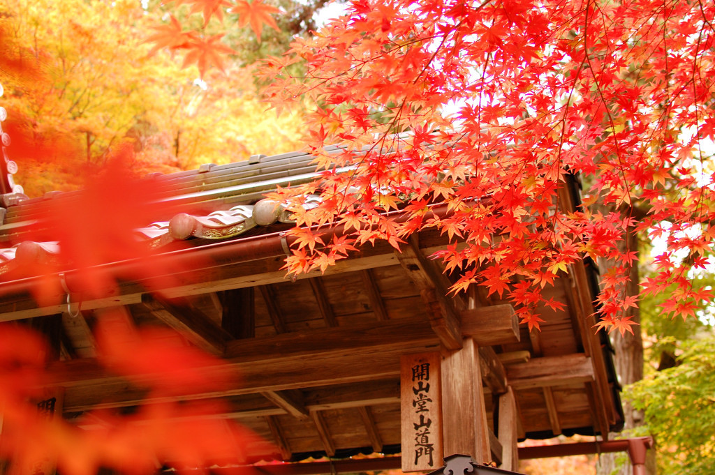 山門の紅葉