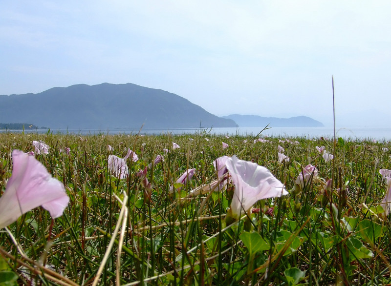 初夏の砂浜