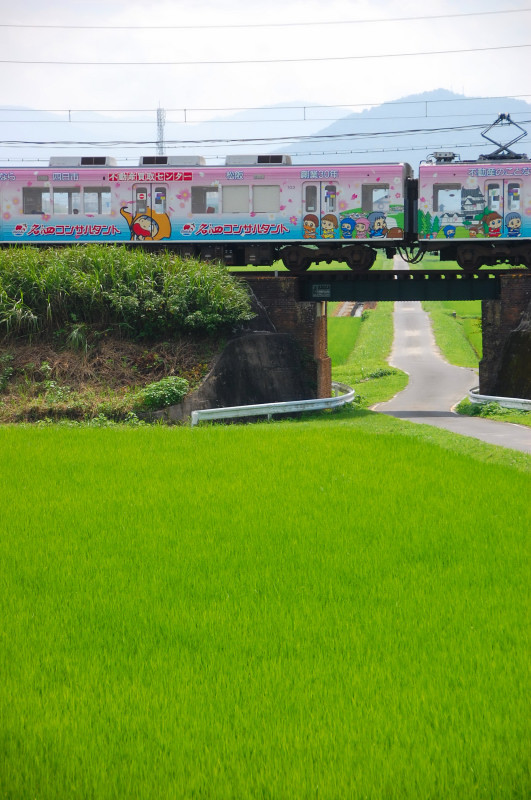 伊賀鉄道　城下の田園を行く