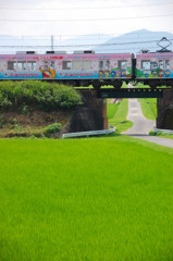 伊賀鉄道　城下の田園を行く