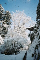 雪の境内