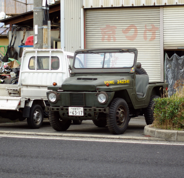 マイティマイト