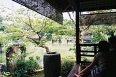 涼を求めて