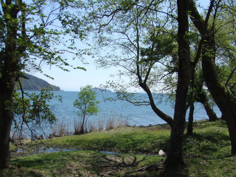 湖岸の風景