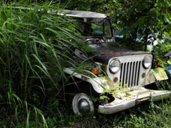 草ヒロ　J30系ジープ