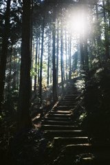 参道 廃寺へ続く道