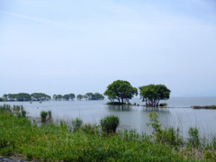 よく見る湖北の風景