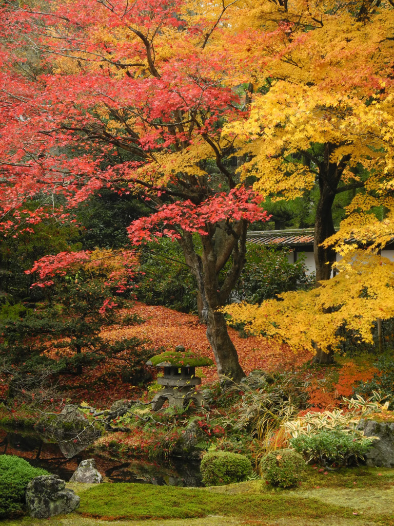 泉涌寺 庭園