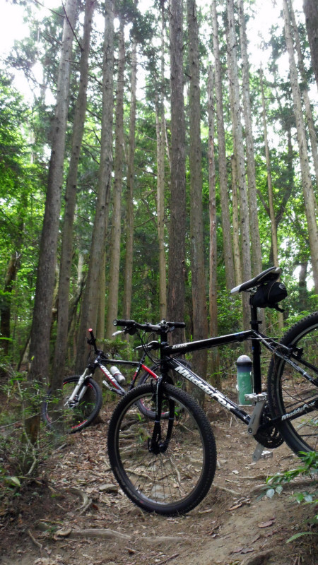 南禅寺に向かう道