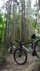 南禅寺に向かう道