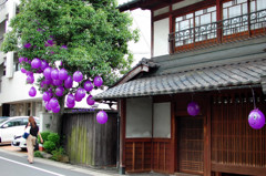 山科　もてなすくん